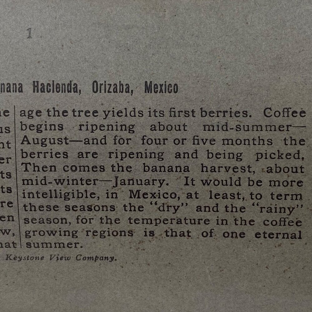 Antique 1900 Stereoview Photo Card Coffee Banana Hacienda Orizaba Mexico Keyston - Picture 6 of 8